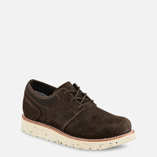 Setter Fifty Oxford
