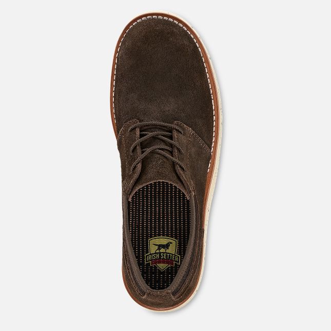 Setter Fifty Oxford