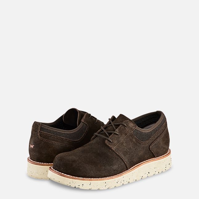 Setter Fifty Oxford
