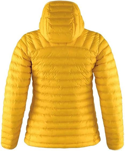 Women's Expedition Latt Hoodie