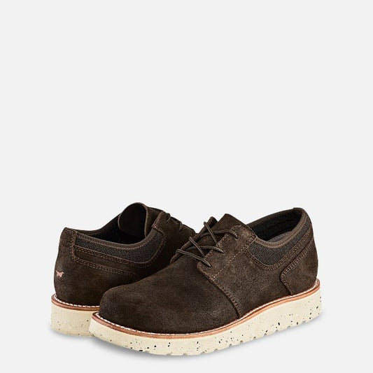 Setter Fifty Oxford